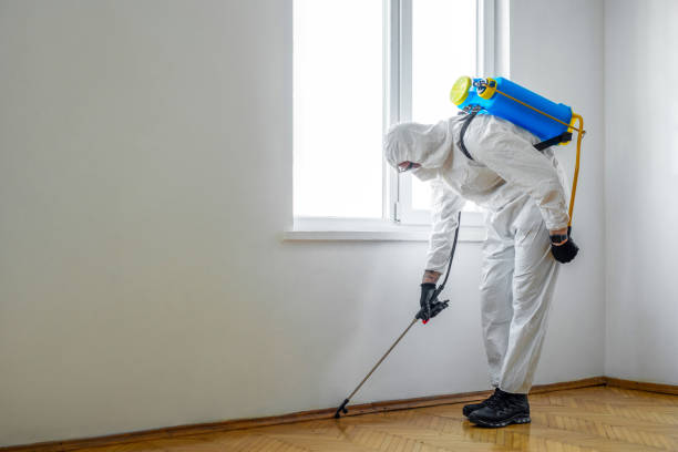 Best Emergency Pest Control  in Bellevle, IL